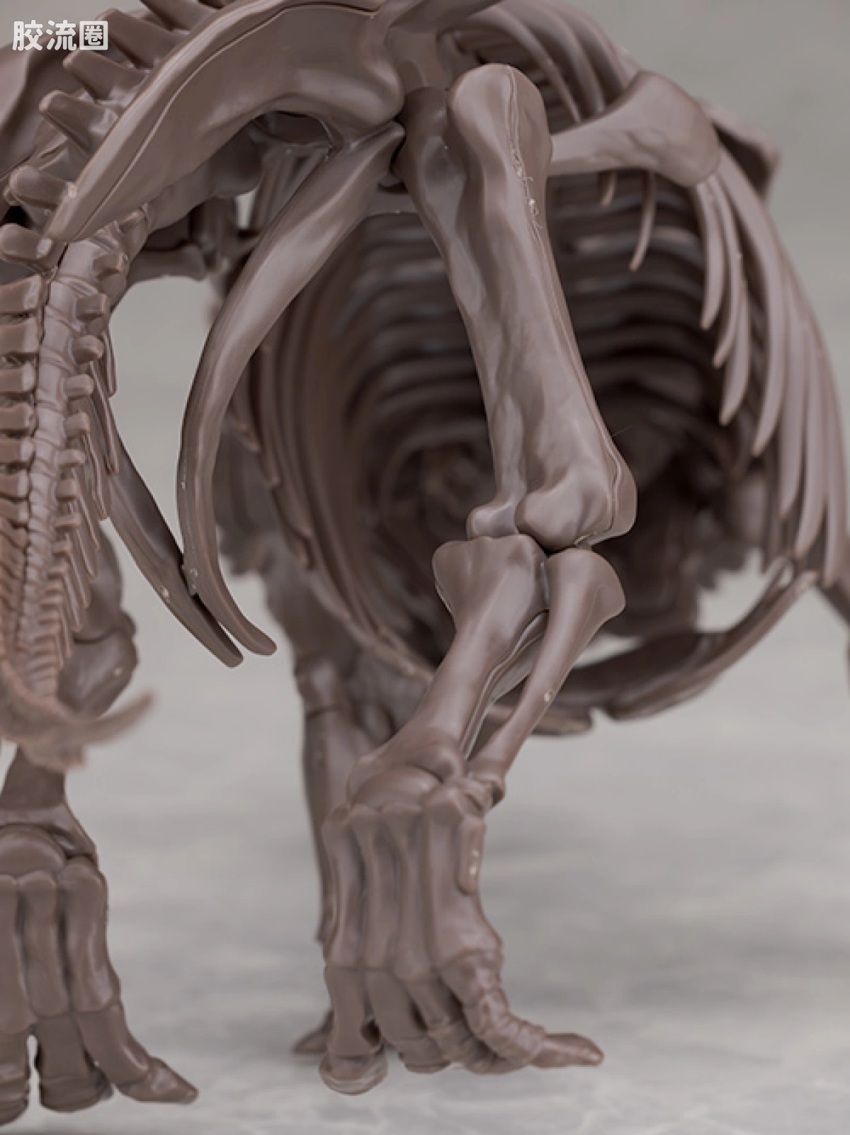 万代综合拼装模型系列 Imaginary Skeleton系列 三角龙 - 图片